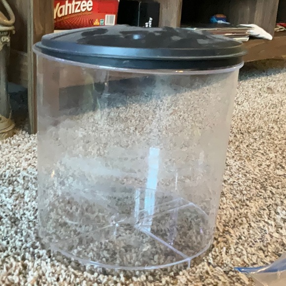 Fish stuff - Picture 4 of 4